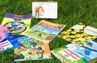 Organizar tareas de repaso de verano para los niños